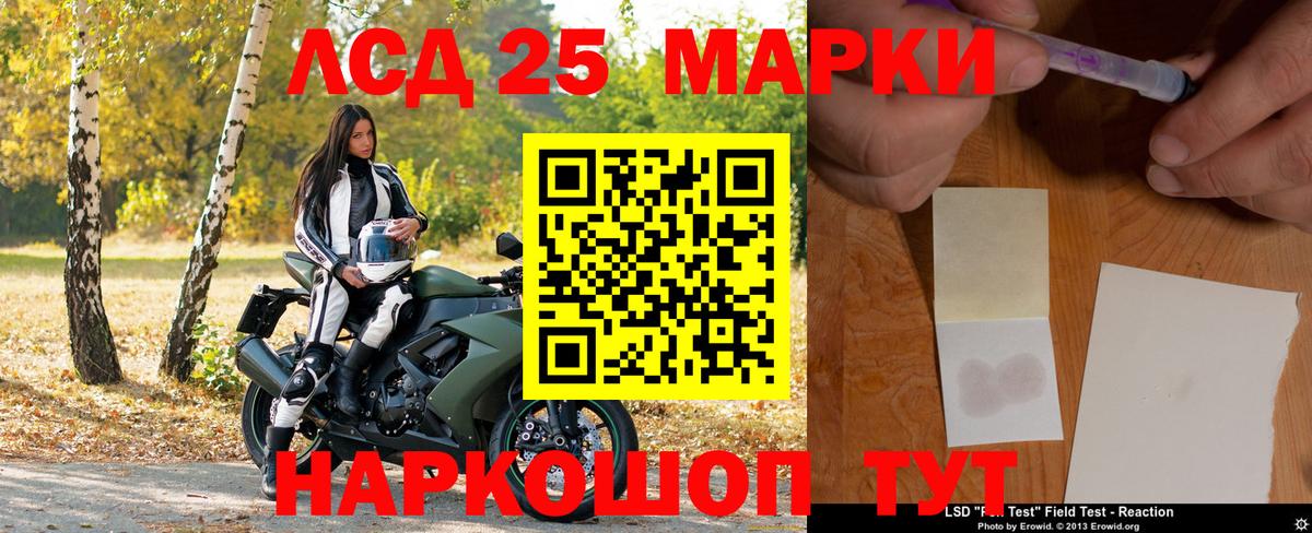 Губкин  Марки 25I-NBOMe 1,8мг  Вход с VPN  Марки 25I-NBOMe 1,8мг 